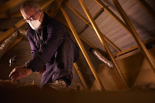 Best Fiberglass Insulation in Lake City, FL