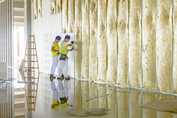 Best Residential Insulation in Lake City, FL